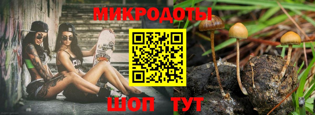Псилоцибиновые грибы мухоморы Тара